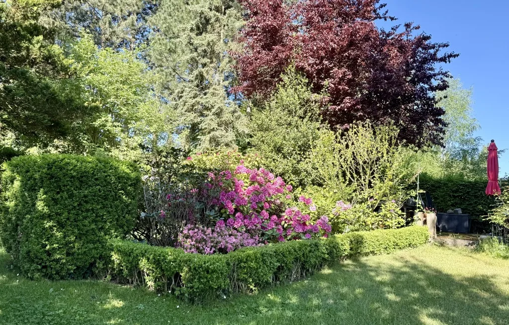 Gartenbepflanzung