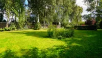 parkähnlicher Gartenbereich