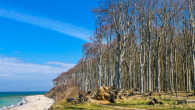 Strand mit Küstenwald - Strandnahe Eigentumswohnung mit schönem Grundstücksanteil, Terrasse und PKW Stellplatz