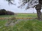 Ausblick - Großzügige Eigentumswohnung mit unverbautem Boddenblick, großer Terrasse, Garten und Kamin